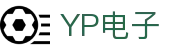 YP电子集团股份有限公司
